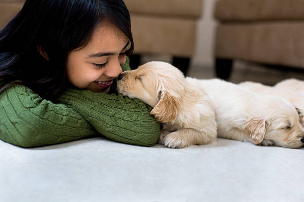 Top 10 Things to Know Before Adopting a Puppy